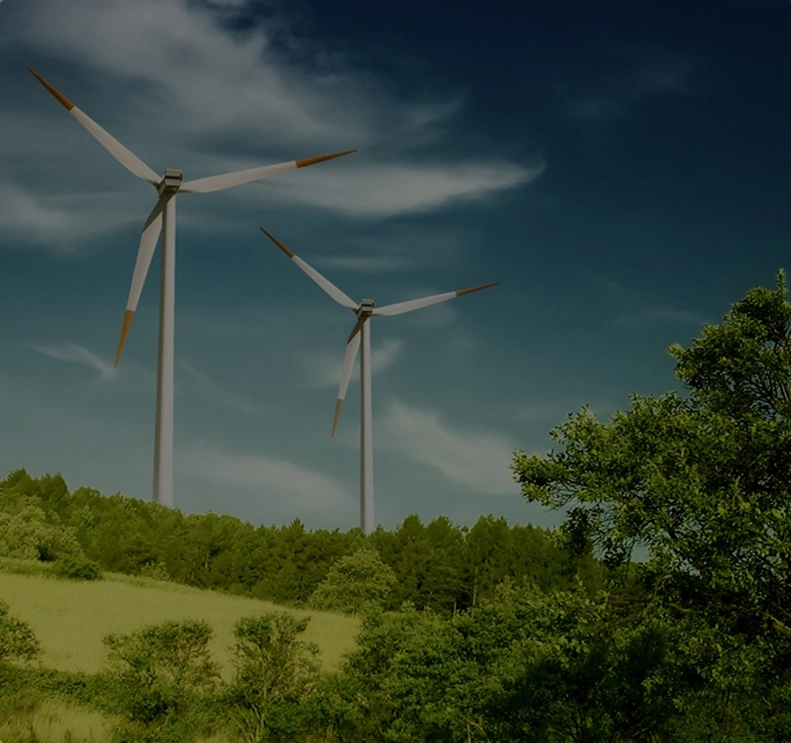 Energy Web Solutions