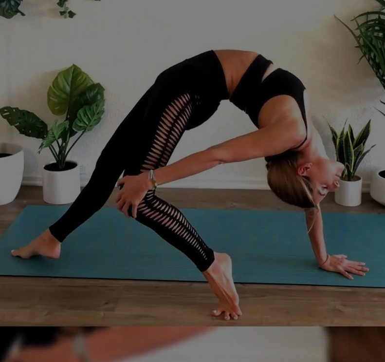 Yoga & Wellness Portal