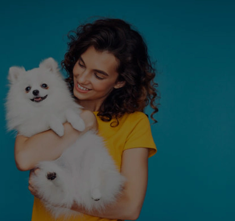 Pet Care Web Solutions