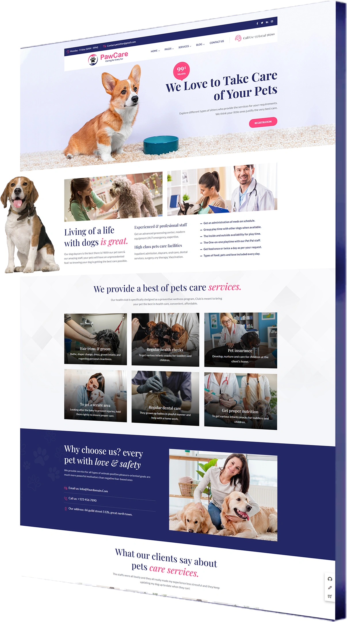 Pet Care Web Solutions