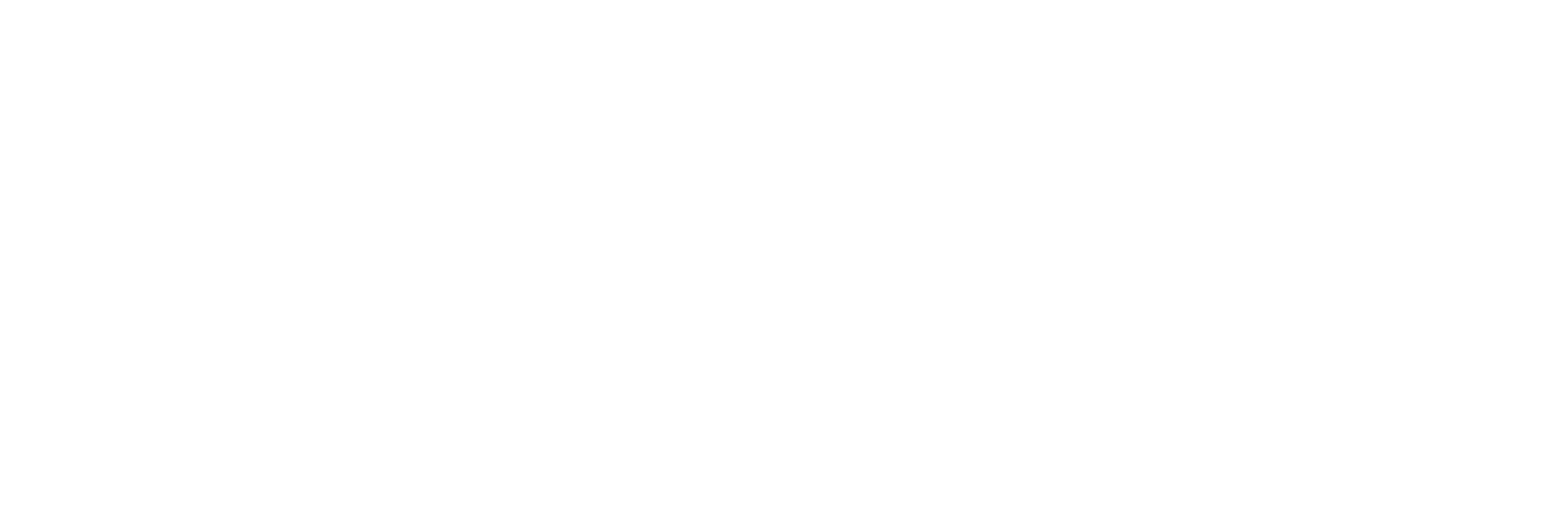 Financial WordPress Website