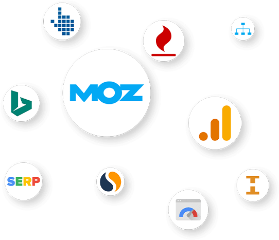 Professional SEO Services